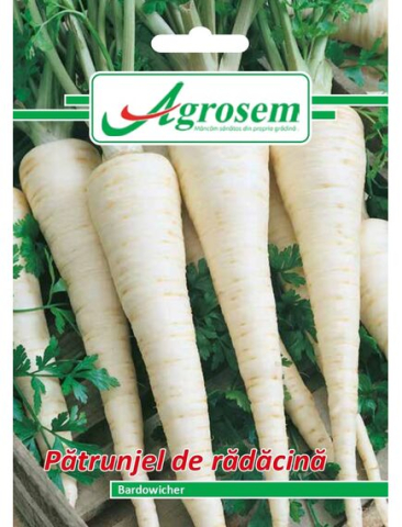 Seminte legume - Seminte Patrunjel Radacina BARDOWICHER 5 GR