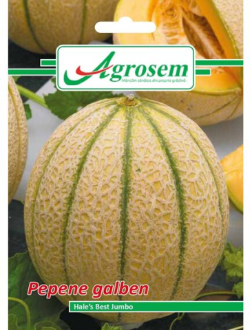 Seminte fructe - Seminte Pepene Galben HALES BEST JUMBO 2 gr.