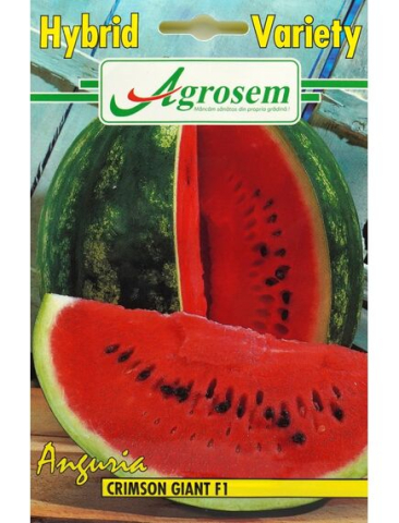 Seminte legume Hibirizi - Seminte pepene rosu CRIMSON GIANT F1