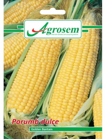 Seminte legume - Seminte Porumb Dulce GOLDEN BANTAM 10 gr.