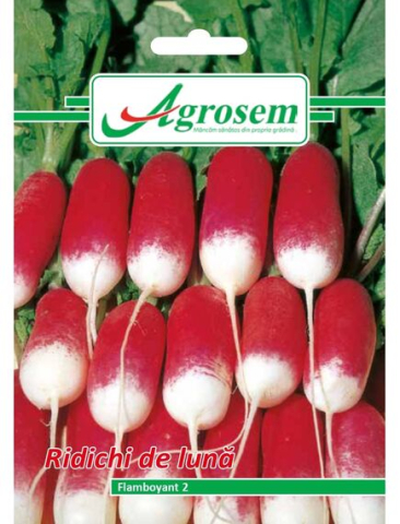 Seminte legume - Seminte Ridichi de Luna FLAMBOYANT 6 gr.