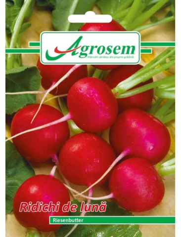 Seminte legume - Seminte Ridichi de Luna RIESENBUTTER 6 gr.