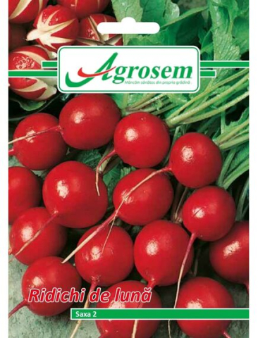 Seminte legume - Seminte Ridichi de Luna SAXA 2 6 gr.