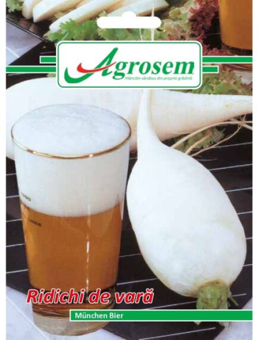 Seminte legume - Seminte Ridichi de Vara MÜNCHEN BIER 6 gr.