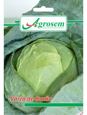 Seminte legume - Seminte romanesti Varza de Buzau 1 gr