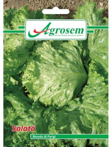Seminte legume - Seminte Salata BIONDA DI PARIGI 3 GR