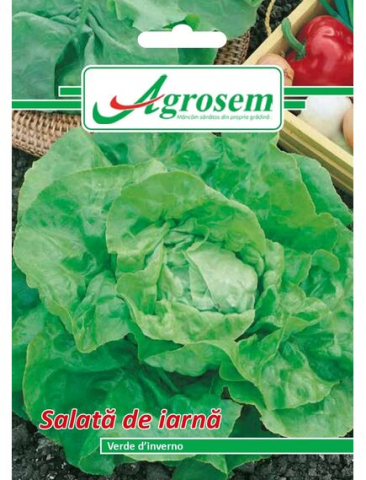 Seminte legume - Seminte Salata de Iarna VERDE DINVERNO 3 gr.