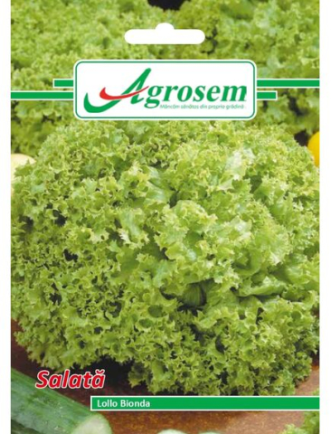 Seminte legume - Seminte Salata LOLLO BIONDA 2 gr.