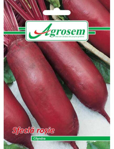 Seminte legume - Seminte Sfecla Rosie CILYNDRA 5 GR