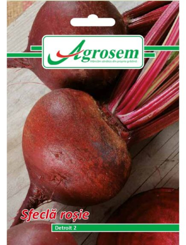 Seminte legume - Seminte Sfecla Rosie DETROIT 5 gr.
