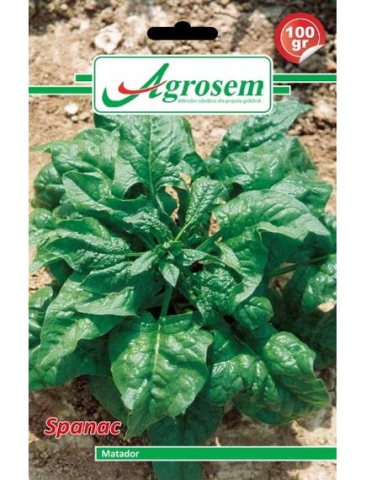 Seminte legume - Seminte Spanac MATADOR Agrosem 100 gr