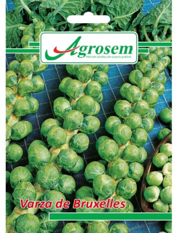 Seminte legume - Seminte Varza BRUXELLES 5 GR