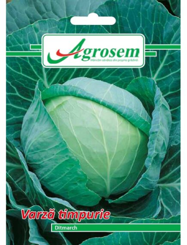 Seminte legume - Seminte Varza TIMPURIE DITMARCH 5 gr.