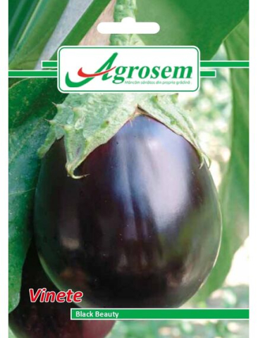 Seminte legume - Seminte Vinete BLACK BEAUTY 2 gr.