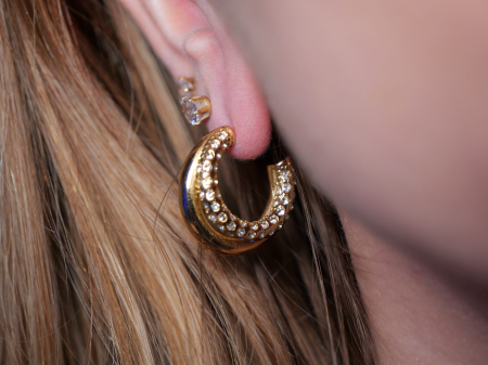 Cercei Prismatica [1]