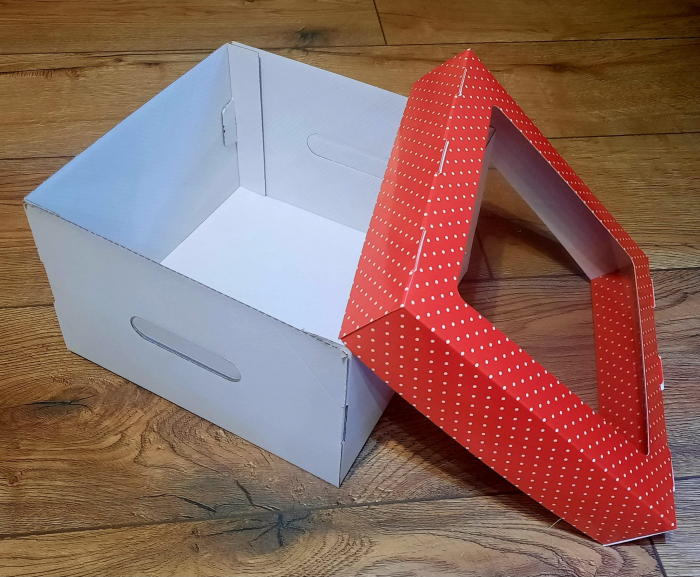 CB3F- ROSU CU PUNCTE [2]