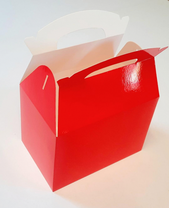 Plasuta Carton 17X11X12 CM, Rosu [2]