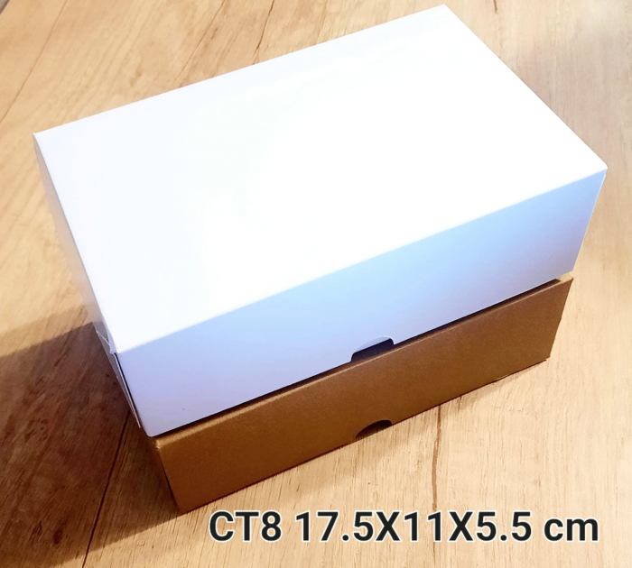 CT8-A [4]