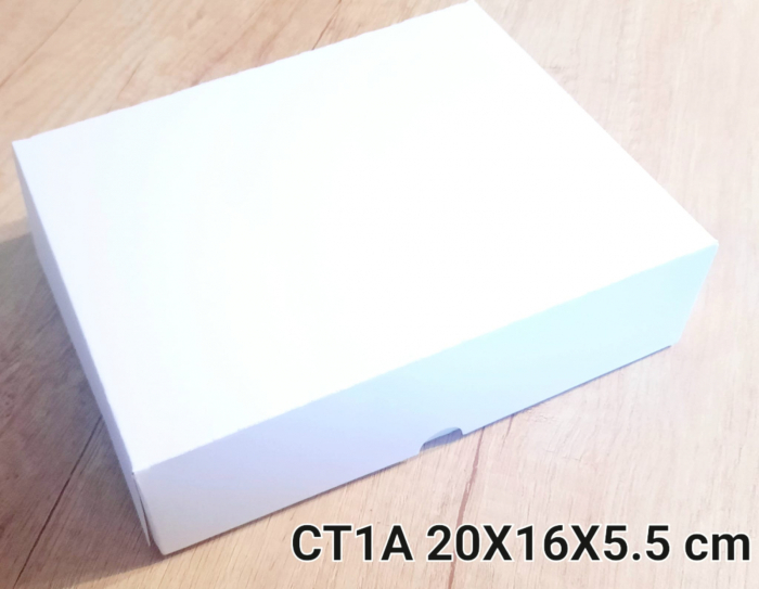 CT1-A [4]