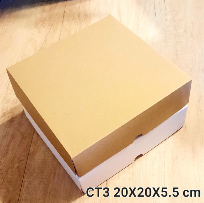 CT3-A [4]