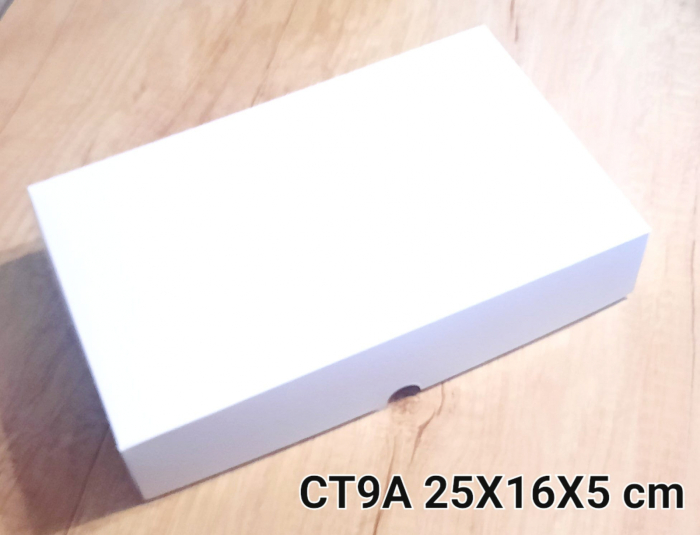 CT9-A [2]