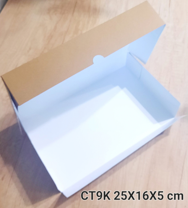 CT9-K [4]