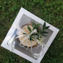 Cutie 20x20x14 cm, SB6F- ALB [3]