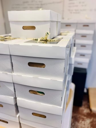 Scatole per Confezioni Regalo - COS CADOU 33X25X15 CM, CU FEREASTRA, COD CAD1-F- ALB, SET 5 BUC