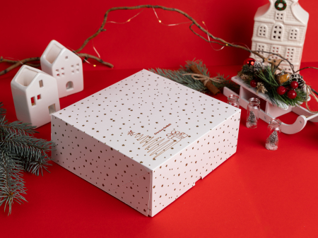 Scatole Aperte Senza Finestra - SB1-WS