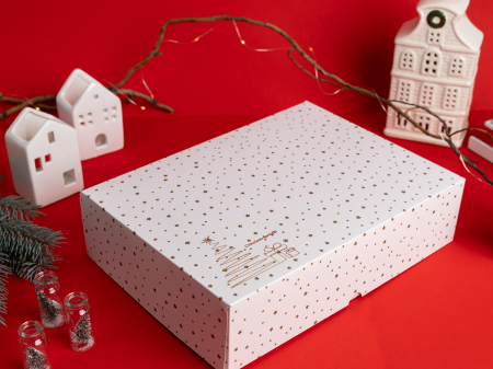 Scatole Aperte Senza Finestra - E6-WS