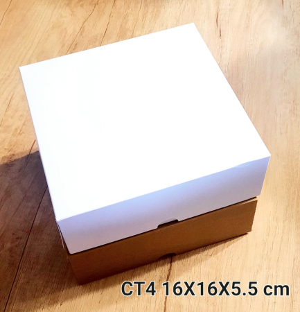 CT4-A [3]