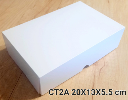 CT2-A [1]