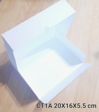 CT1-A [1]