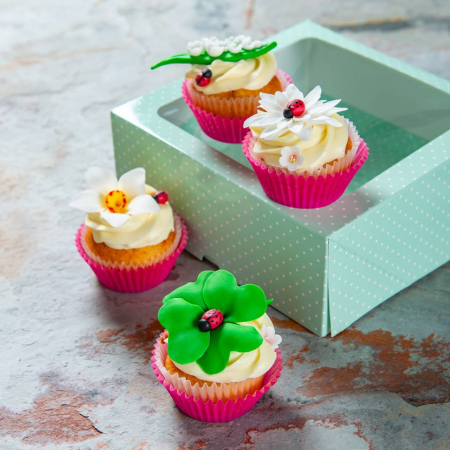 Cutie Smart Box 20x20x8 cm, cu fereastra si tavita, verde cu puncte [1]