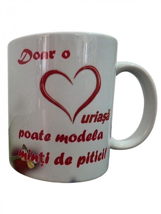 Cana Doamna Invatatoare [2]