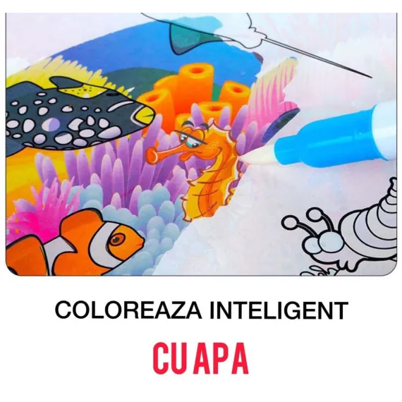 Carte de colorat cu apa, Almido Water Book, Reutilizabila, plina de culori vibrante, Sofia, 8 pagini, pentru fete si baieti de la 3 ani [3]