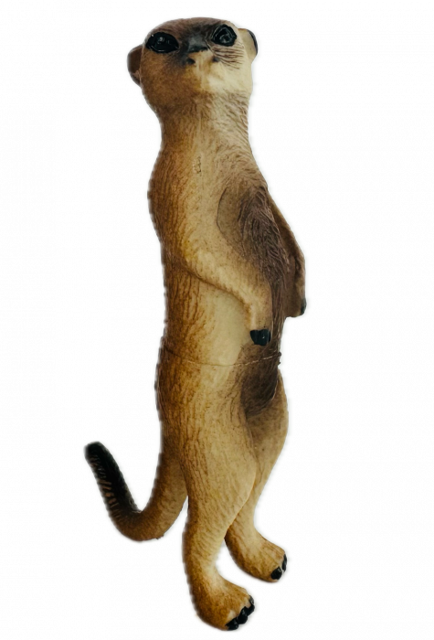 Set Figurine Animale salbatice padure, Almido, 9 piese, 10 cm, multicolor [6]