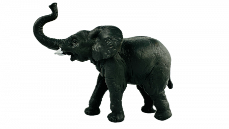 Set Figurine Animale salbatice savana Almido, 6 piese, 13 cm, multicolor [5]