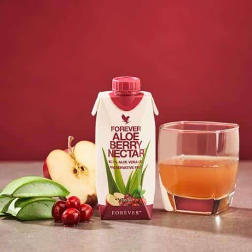 ALOE BERRY NECTAR 330ML 12PACK 330ml/cutie [4]