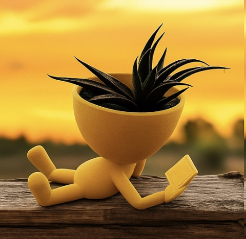 Little Buddy Planter – Ghiveci Omuleț 3D Printat [5]