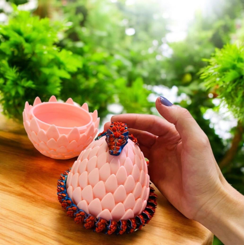 ou-dragon-alore-magic-3d-print [1]