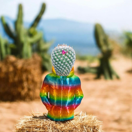 Vaza Hoodie – Ghiveci Urban Curcubeu 3D Printat | Alore Magic 3D Print [1]