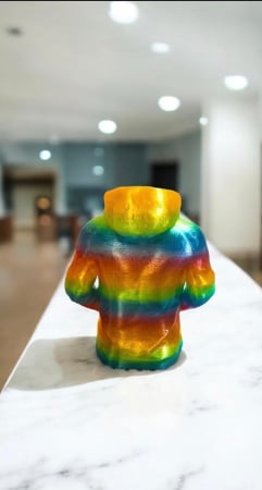 VAZE SI GHIVECE - Vaza Hoodie – Ghiveci Urban Curcubeu 3D Printat | Alore Magic 3D Print