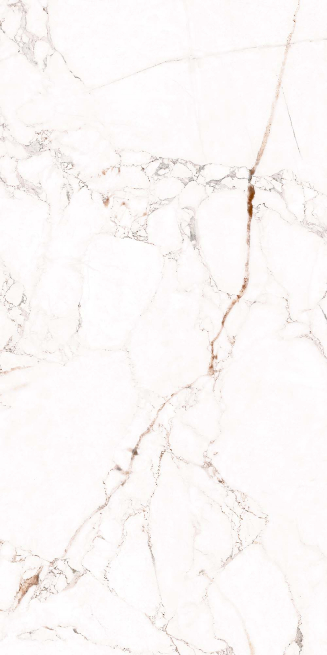 Faianta rectificata tip marmura, Marquina Vine White 4880, 30X60cm, alb [4]
