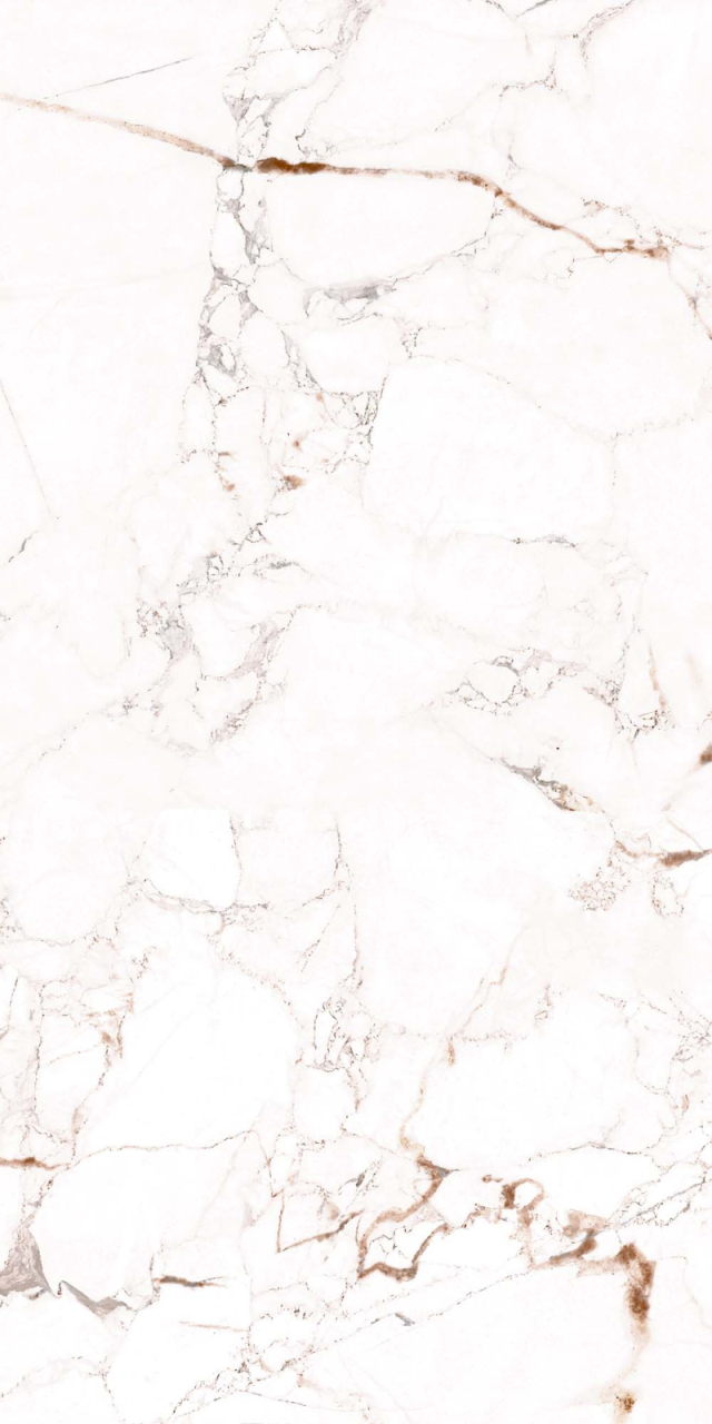 Faianta rectificata tip marmura, Marquina Vine White 4880, 30X60cm, alb [3]