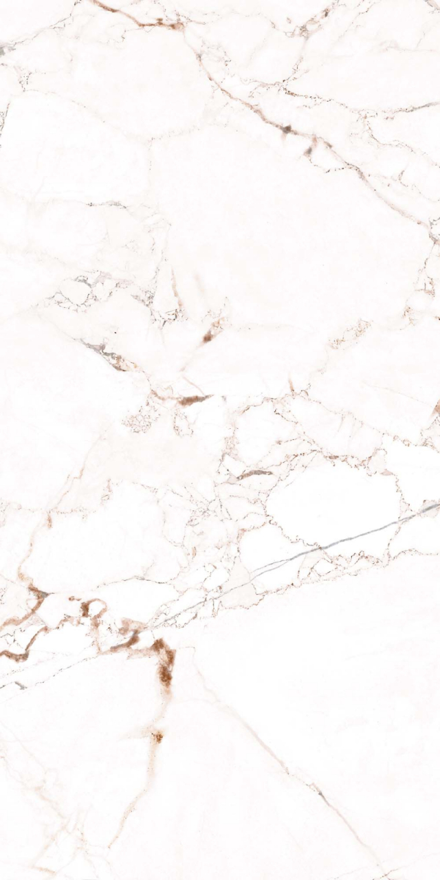 Faianta rectificata tip marmura, Marquina Vine White 4880, 30X60cm, alb [5]