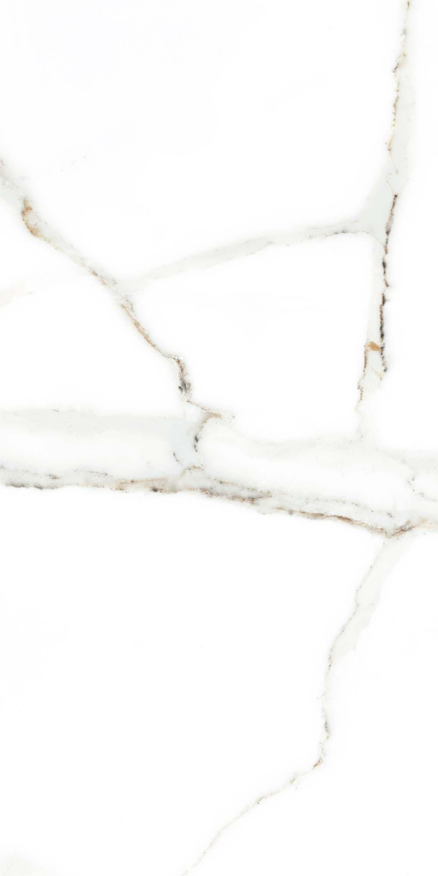 Faianta tip marmura Delphi White 4856-4928, 25x50 cm, alb, finisaj lucios [4]