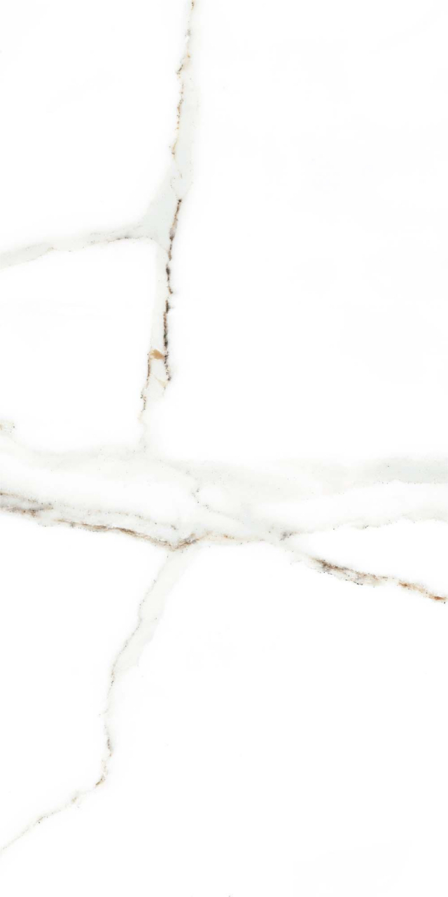 Faianta tip marmura Delphi White 4856-4928, 25x50 cm, alb, finisaj lucios [5]