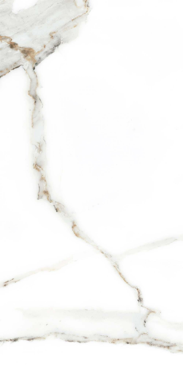 Faianta tip marmura Delphi White 4856-4928, 25x50 cm, alb, finisaj lucios [3]