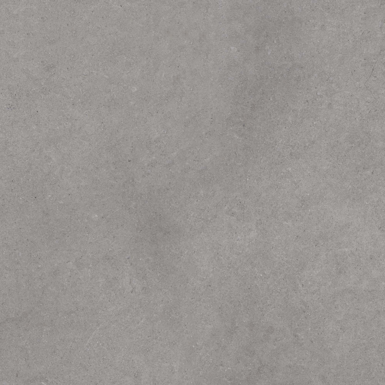 Gresie exterior 2 cm Everscape Fossil Grey RT 6031 K8K0, 60x60 Outdoor gri, 0.73mp/cut [7]